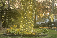 72134453528__E4615E6F-5C16-41F2-9060-9AABBC327761.fullsizerender