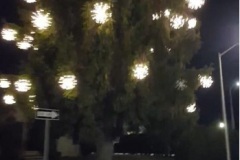 Screenshot_20221019-183518_Messages_33002872161784